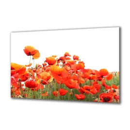 panel-szklany-kwiaty-30135823-140x70