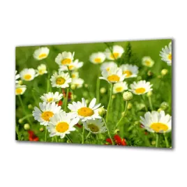 panel-szklany-kwiaty-32167555-140x70