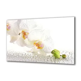 panel-szklany-kwiaty-47235936-140x70
