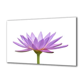 panel-szklany-kwiaty-4075000-140x70