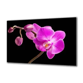panel-szklany-kwiaty-48230290-140x70