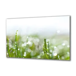 panel-szklany-kwiaty-64570137-140x70