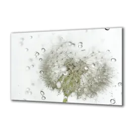 panel-szklany-kwiaty-65900668-140x70