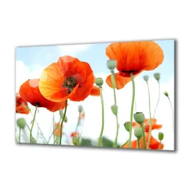 panel-szklany-kwiaty-67906931-140x70