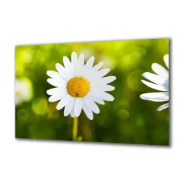 panel-szklany-kwiaty-80255596-140x70