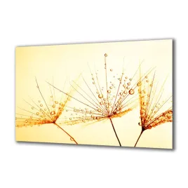 panel-szklany-kwiaty-82901664-140x70