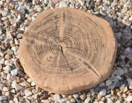 betonowe-drewno-pien-drzewa-plaster-na-chodnik-sciezke-do-altany