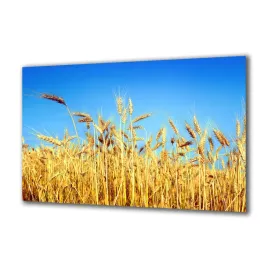 panel-szklany-natura-101871630-140x70