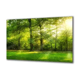 panel-szklany-natura-142080280-140x70