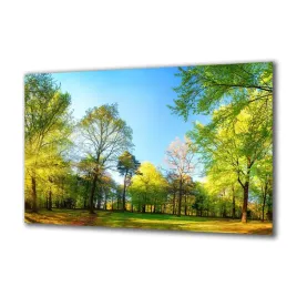 panel-szklany-natura-142916017-140x70