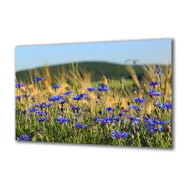panel-szklany-natura-163159925-140x70