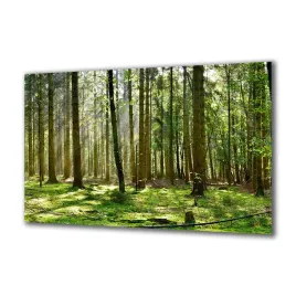 panel-szklany-natura-295084721-140x70