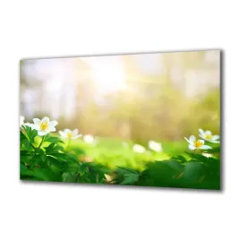 panel-szklany-natura-315903371-140x70