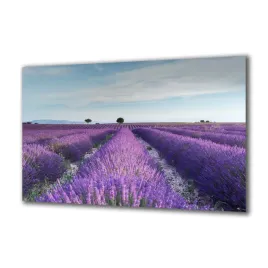 panel-szklany-natura-32089487-140x70