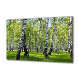 panel-szklany-natura-32879834-140x70