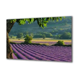 panel-szklany-natura-37751274-140x70