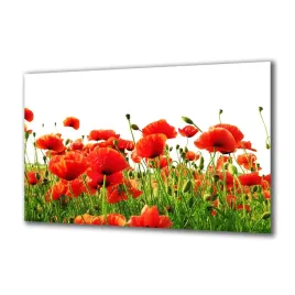 panel-szklany-natura-44852609-140x70