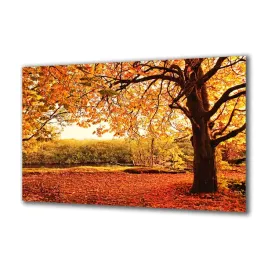 panel-szklany-natura-45108959-140x70