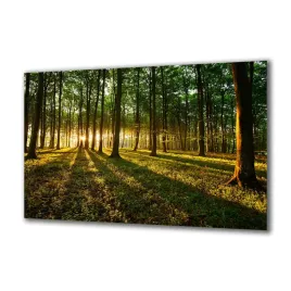 panel-szklany-natura-53546475-140x70