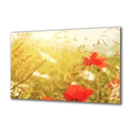 panel-szklany-natura-53665510-140x70