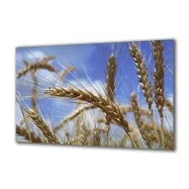 panel-szklany-natura-54144-140x70