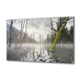 panel-szklany-natura-60272334-140x70
