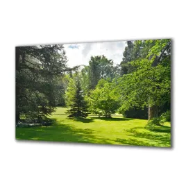 panel-szklany-natura-61800069-140x70