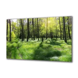 panel-szklany-natura-64946778-140x70