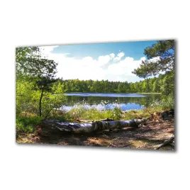 panel-szklany-natura-65467698-140x70