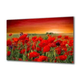 panel-szklany-natura-66022514-140x70