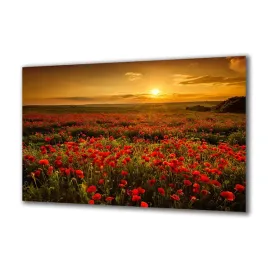 panel-szklany-natura-67034029-140x70