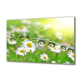 panel-szklany-natura-67578778-140x70