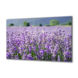 panel-szklany-natura-66799018-140x70