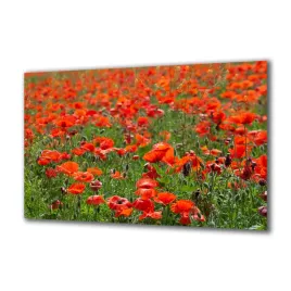 panel-szklany-natura-67097946-140x70