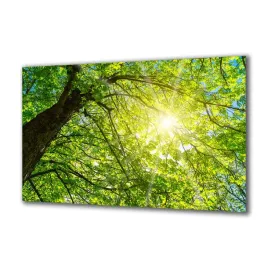 panel-szklany-natura-82297600-140x70