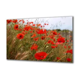 panel-szklany-natura-84991643-140x70