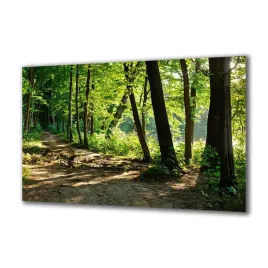 panel-szklany-natura-89440501-140x70