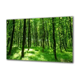 panel-szklany-natura-91907905-140x70