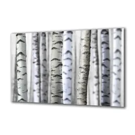 panel-szklany-natura-91600145-140x70