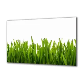 panel-szklany-rosliny-84856970-140x70