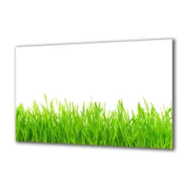 panel-szklany-rosliny-94520449-140x70