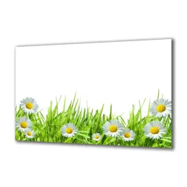 panel-szklany-rosliny-12348598-140x70