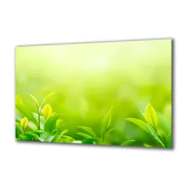 panel-szklany-rosliny-164976200-140x70