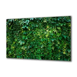 panel-szklany-rosliny-175029002-140x70