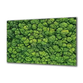 panel-szklany-rosliny-207714693-140x70