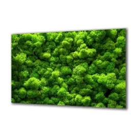 panel-szklany-rosliny-242956168-140x70