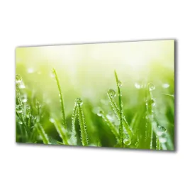 panel-szklany-rosliny-265607915-140x70