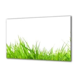 panel-szklany-rosliny-30264428-140x70