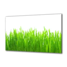 panel-szklany-rosliny-39540238-140x70