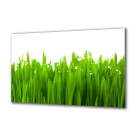 panel-szklany-rosliny-41229583-140x70